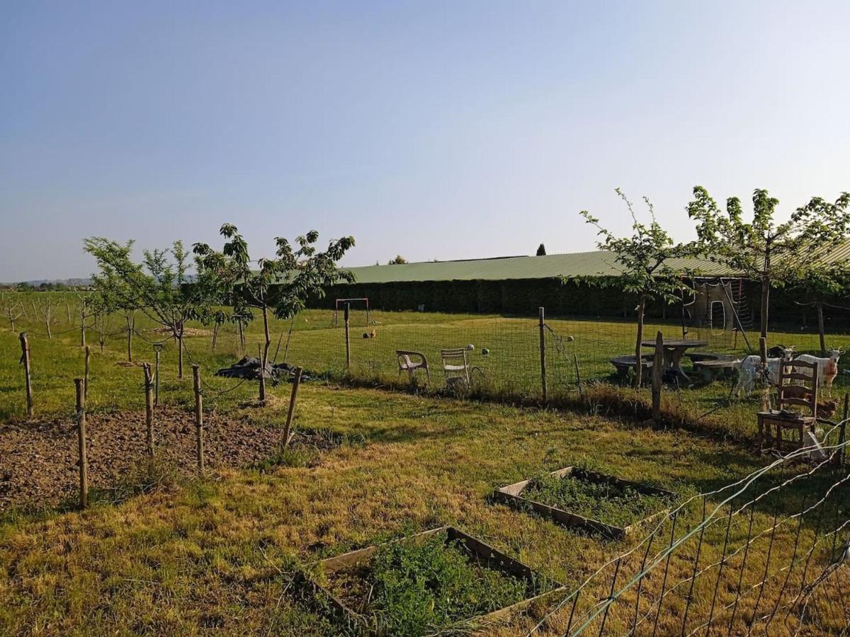 Charmante Maison Avec Piscine Anneyron 外观 照片